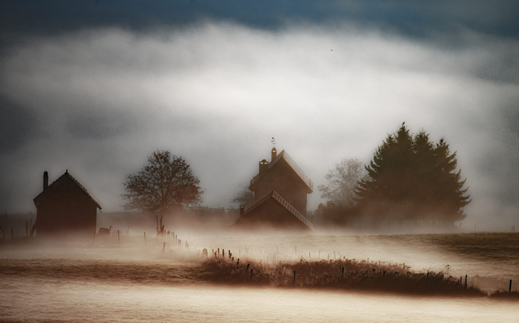 Nella nebbia i paesaggi onirici del CANSIGLIO